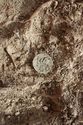 Thumbnail of Photo 18888 SF1056 Copper brooch no board