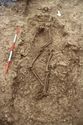 Thumbnail of Photo 18890 Skeleton 607279 no board