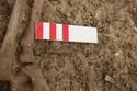 Thumbnail of Photo 18896 Skeleton 607279 Iron pin