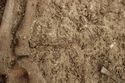 Thumbnail of Photo 18897 Skeleton 607279 Iron pin no board