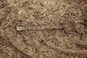 Thumbnail of Photo 18899 Skeleton 607279 Copper latch lifter no board