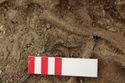 Thumbnail of Photo 18901 Skeleton 607279 Copper brooch, left