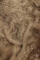 Thumbnail of Photo 18902 Skeleton 607279 Copper brooch no board, left