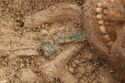 Thumbnail of Photo 18904 Skeleton 607279 Copper brooch, right no board