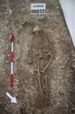 Thumbnail of Photo 18988 Skeleton 606033