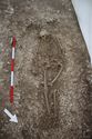 Thumbnail of Photo 18989 Skeleton 606033 no board