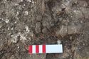 Thumbnail of Photo 19711 Skeleton 607846 feet