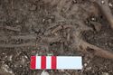 Thumbnail of Photo 19712 Skeleton 607846 right hand