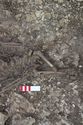Thumbnail of Photo 19715 Skeleton 607846 legs
