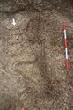 Thumbnail of Photo 19846 Skeleton 606990 no board