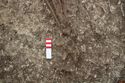 Thumbnail of Photo 19849 Skeleton 606990 feet