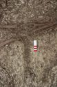 Thumbnail of Photo 19850 Skeleton 606990 knees