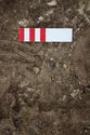 Thumbnail of Photo 19851 Skeleton 606990 beads