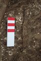 Thumbnail of Photo 19852 Skeleton 606990 Iron blade