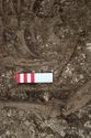Thumbnail of Photo 19853 Skeleton 606990 Iron object, side view