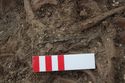 Thumbnail of Photo 19855 Skeleton 606990 Copper pin