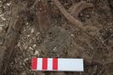 Thumbnail of Photo 19856 Skeleton 606990 Copper brooch