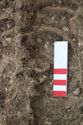Thumbnail of Photo 19858 Skeleton 606990 Iron object