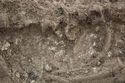 Thumbnail of Photo 19859 Skeleton 606990 Iron object no board