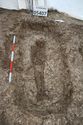 Thumbnail of Photo 20401 Skeleton 605407