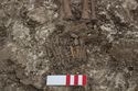 Thumbnail of Photo 20403 Skeleton 605407 feet
