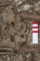 Thumbnail of Photo 20405 Skeleton 605407 pelvis