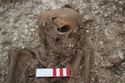 Thumbnail of Photo 20408 Skeleton 605407 skull
