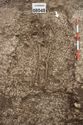 Thumbnail of Photo 20820 Skeleton 608048