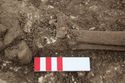 Thumbnail of Photo 20823 Skeleton 608048 Iron object