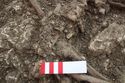 Thumbnail of Photo 20840 Skeleton 608048 beads detail