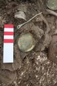 Thumbnail of Photo 20848 Skeleton 608048 left brooch and pin