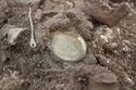 Thumbnail of Photo 20850 Skeleton 608048 left brooch and pin no scale