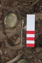 Thumbnail of Photo 20853 Skeleton 608048 pin