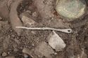 Thumbnail of Photo 20854 Skeleton 608048 pin no scale