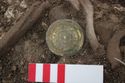 Thumbnail of Photo 20855 Skeleton 608048 right brooch