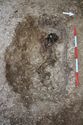 Thumbnail of Photo 21452 Skeleton 607934 no board