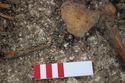 Thumbnail of Photo 21460 Skeleton 607934 beads