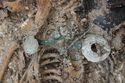 Thumbnail of Photo 21469 Skeleton 607934 finds on chest no scale
