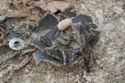 Thumbnail of Photo 21474 Skeleton 607934 broken vessel no scale