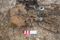 Thumbnail of Photo 21479 Skeleton 607934 broken vessel and skull