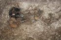 Thumbnail of Photo 21482 Skeleton 607934 overview no scale 2