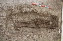 Thumbnail of Photo 22458 Skeleton 605358 no board