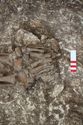Thumbnail of Photo 22459 Skeleton 605358 feet