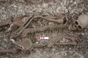 Thumbnail of Photo 22464 Skeleton 605358 torso
