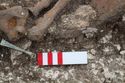 Thumbnail of Photo 22465 Skeleton 605358 Iron blade and Copper tweezers
