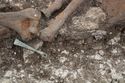 Thumbnail of Photo 22466 Skeleton 605358 Iron blade and Copper tweezers no scale