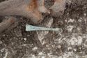 Thumbnail of Photo 22468 Skeleton 605358 Copper tweezers no scale