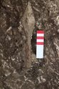 Thumbnail of Photo 22477 Skeleton 605358 spear