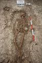 Thumbnail of Photo 23076 Skeleton 605410