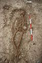 Thumbnail of Photo 23077 Skeleton 605410 no board